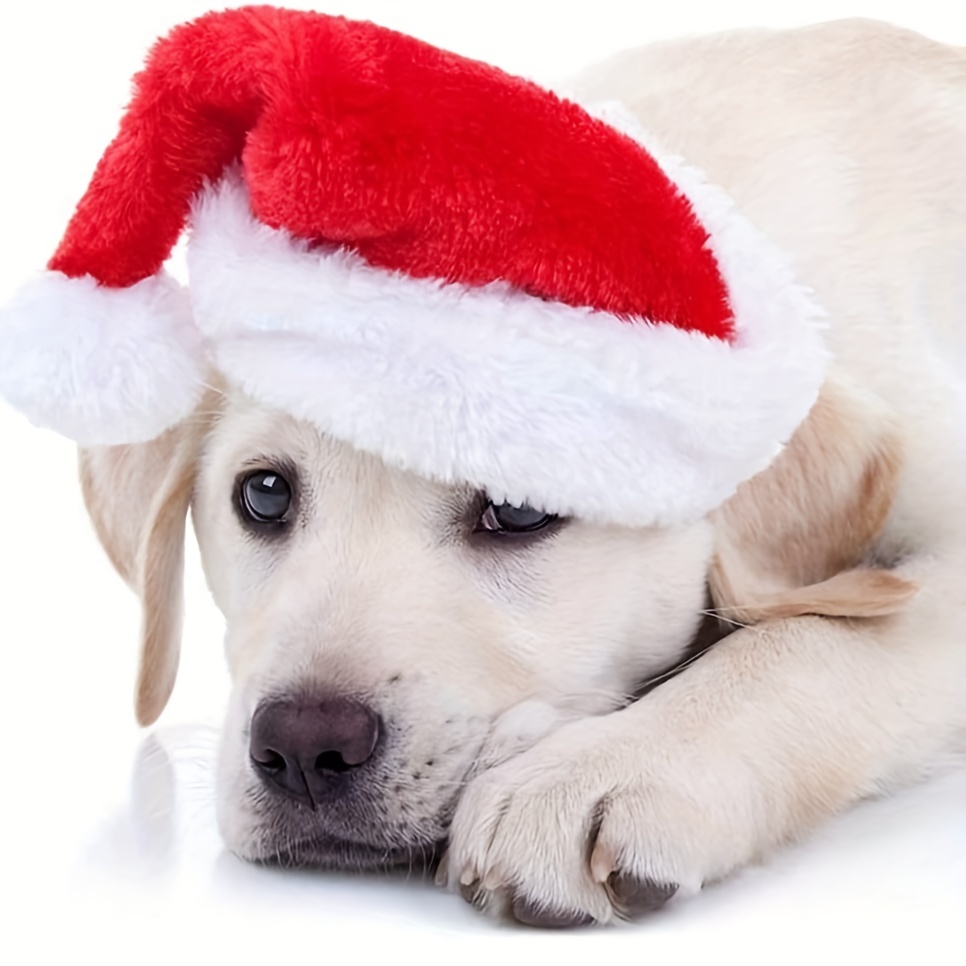 Santa Hat Plush - 1-10 ชิ้น หมวกคริสต์มาสสำหรับสัตว์เลี้ยงสุดหรู นุ่มสบาย หมวกซานต้าใหม่สำหรับแมวและสุนัข น่ารัก