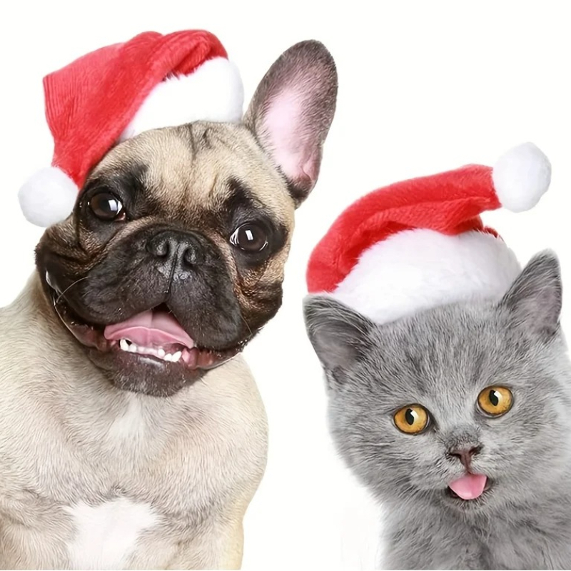 1-10 ชิ้น หมวกคริสต์มาสสำหรับส - Santa Hat Plush บทวิจารณ์และราคา